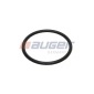 AUGER 110637