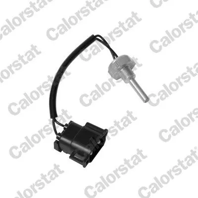 Vernet WS2561 Датчик температуры