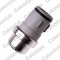 WS3042 Датчик температуры охлаждающей