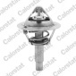 TH696290J Термостат VERNET TH6962.90J