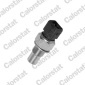 WS2502 Датчик температуры