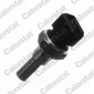 WS2593 Датчик температуры жидкости