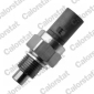 WS3106 VERNET Датчик температуры охлаждающей
