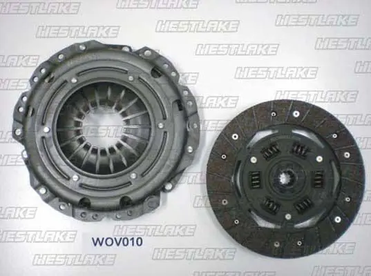 WOV010 