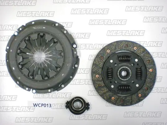 WCP013 