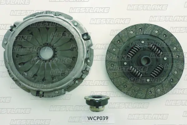WCP039 