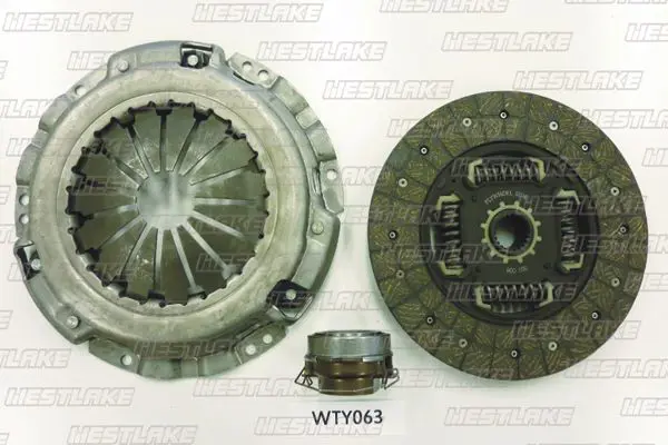 WTY063 