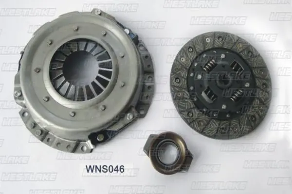 WNS046 