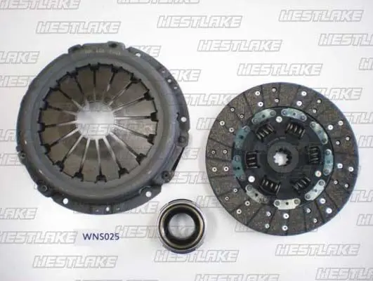 WNS025 