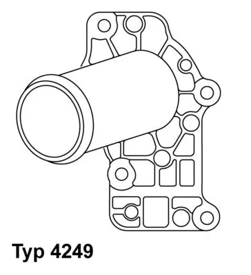 WAHLER 424983D Термостат