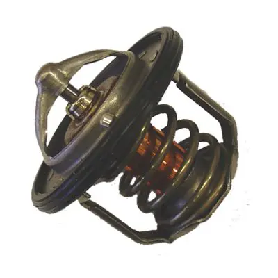 WAHLER 41171688D Термостат