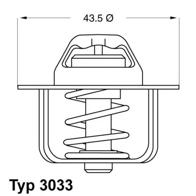 303384 