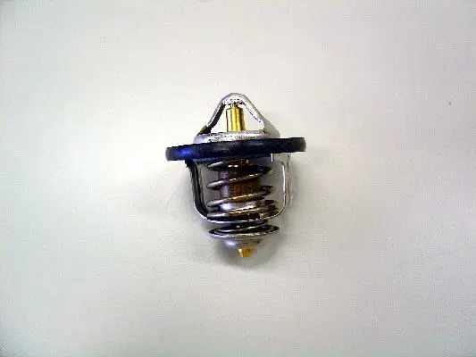 WAHLER 41017984D Термостат