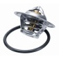 Wahler 314187D