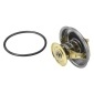 Wahler 411687D1
