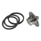 WAHLER 313682D50