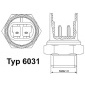 6031105D Термовыключатель вентилятора