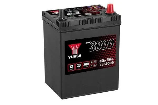 YBX3009 Аккумулятор