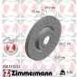 250137252 Диск тормозной FORD SPORT Coat
