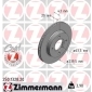 250132820 Brake disc