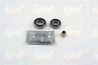  IPD 