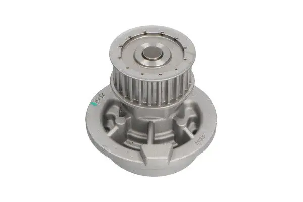 DW1009 
