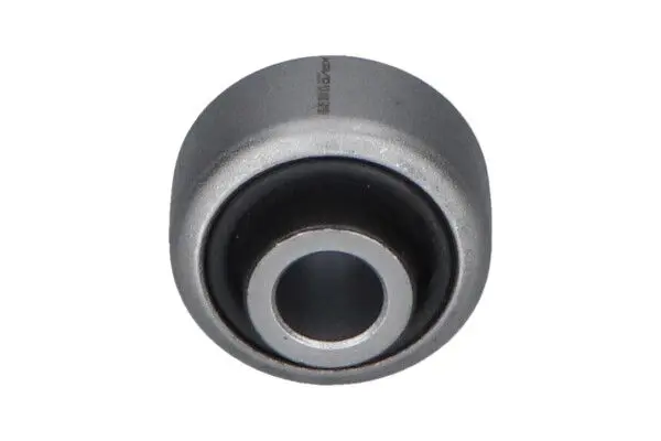 SCR10101 