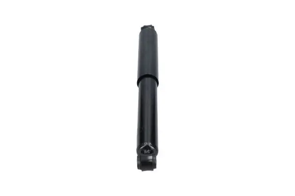 SSA10937 