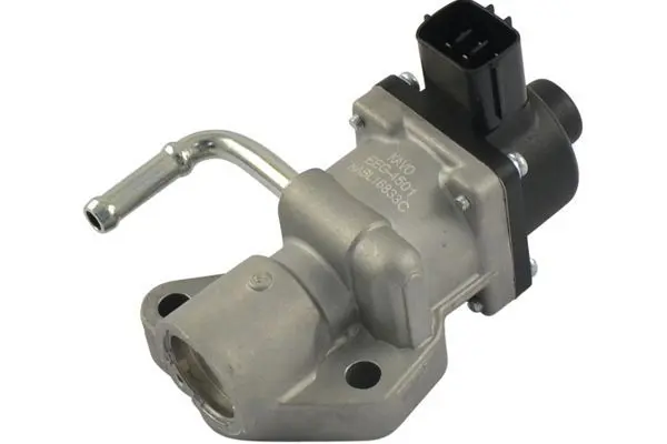 EEG4501 