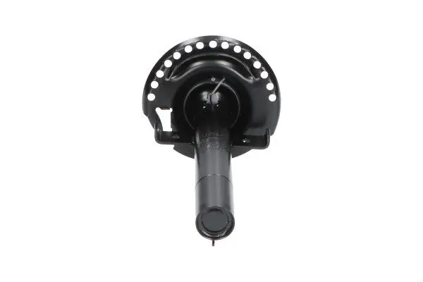 KAVO PARTS SSA10219 Амортизатор