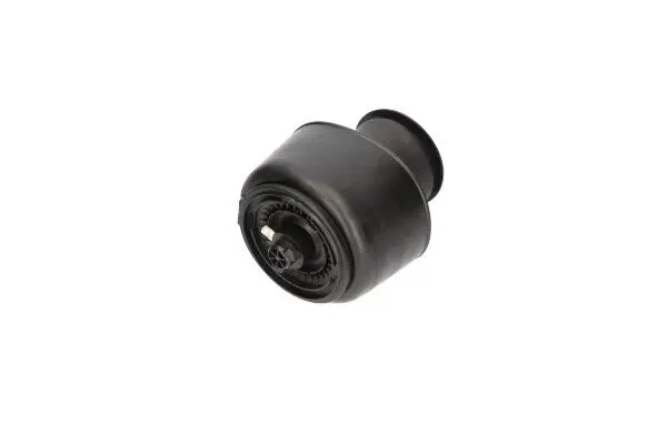 KAVO PARTS SAS10001 Пневматическая рессора,