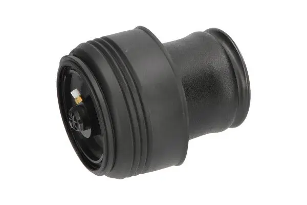 KAVO PARTS SAS10002 Пневматическая рессора,