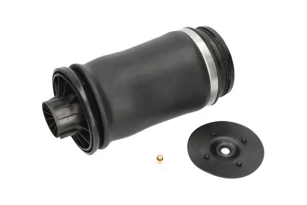 KAVO PARTS SAS10010 Пневматическая рессора,