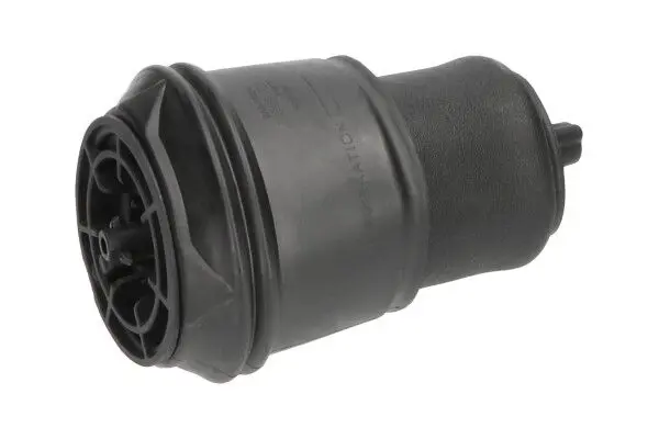 KAVO PARTS SAS10024 Пневматическая рессора,