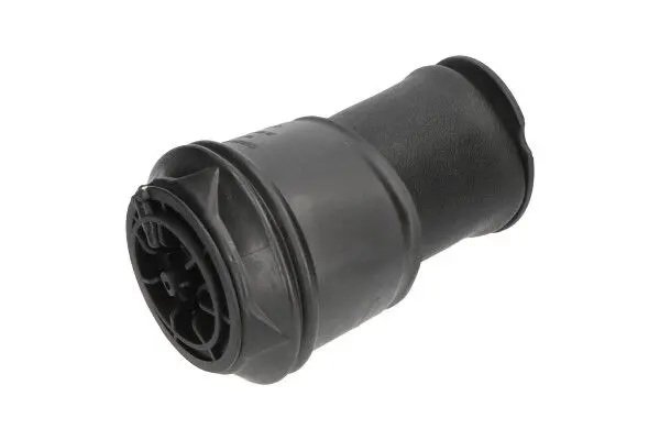 KAVO PARTS SAS10008 Пневматическая рессора,