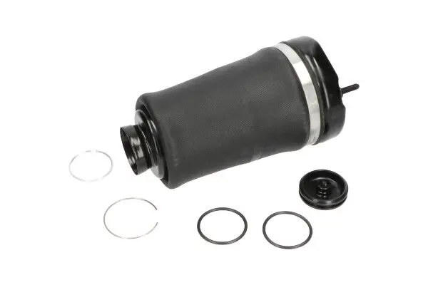 KAVO PARTS SAS10004 