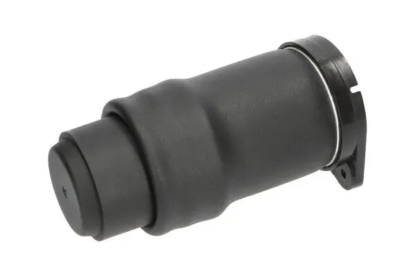 KAVO PARTS SAS10021 Пневматическая рессора,