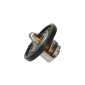 KAVO PARTS TH1004