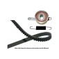 KAVO PARTS DKT2008