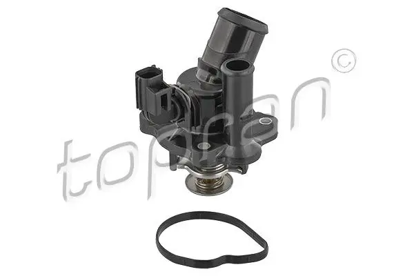 304 162 Thermostat, coolant