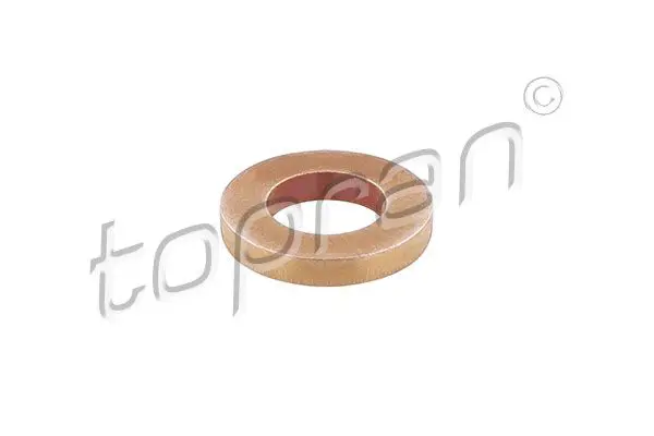118 076 Seal Ring, injector