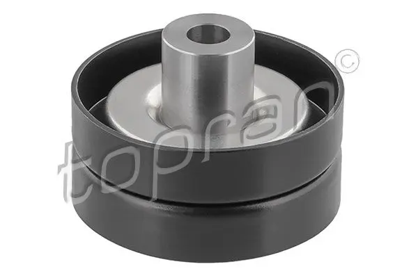 305 008 Tensioner Pulley, V ribbed