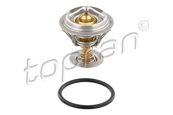 304 519 Thermostat, coolant