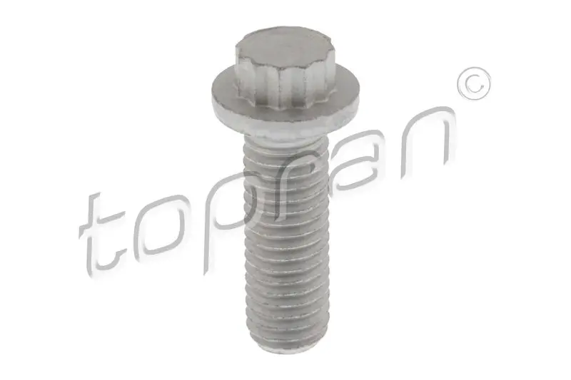 120 978 Screw