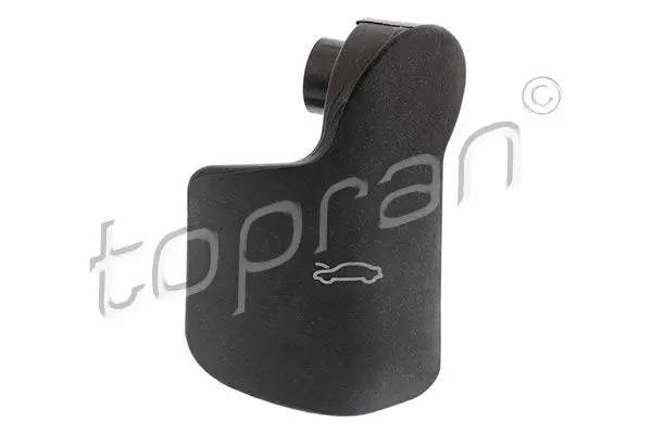120 097 Handle, bonnet release