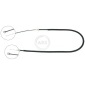 ABS K13126