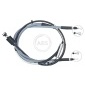 ABS K19956
