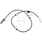 ABS 31316