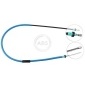 ABS K19717