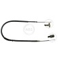 ABS K10558